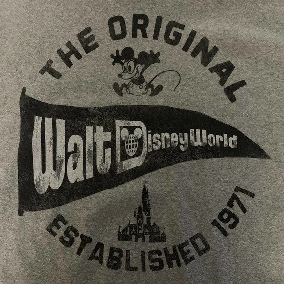 DISNEY PARKS x HANES Grey Walt Disney World Original Graphic T-Shirt - Picture 2 of 4